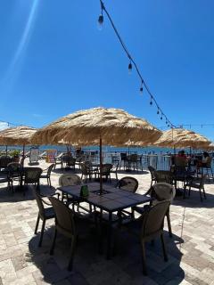 Condo in Waterfront Resort with Balcony Close to Beaches Free Bikes - Dunedin - 5