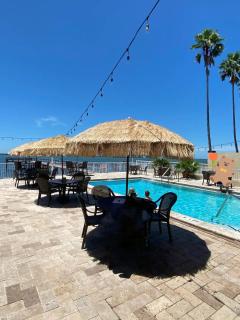 Condo in Waterfront Resort with Balcony Close to Beaches Free Bikes - Dunedin - 7