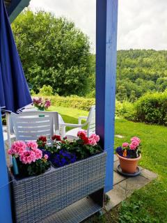 Ferienwohnung 37 Sonnenwald - Langfurth - 3