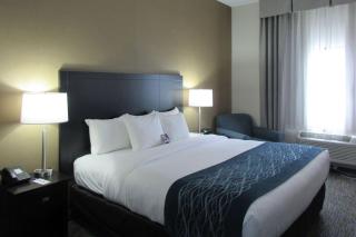Comfort Inn - Port Huron - 3