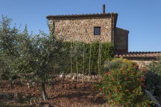 La Rocca delle Pigne - Cana - 2