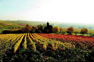 Haus am Kastanienwald - 0