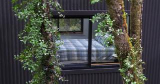 Te Aka Treehouse - 1