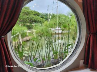 Ascot Bush Lodge - Pietermaritzburg - 7