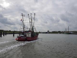 Balkonwohnung Leuchtturm - Hooksiel - 4