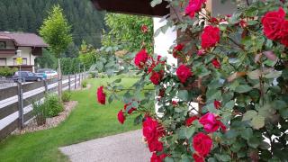 Gartenhaus Zur Kröllin - Mayrhofen - 8