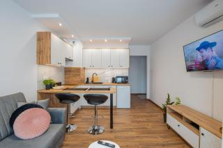 Vip Apartamenty Niecia z klimatyzacja - 8