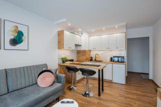 Vip Apartamenty Niecia z klimatyzacja - Rzeszów - 0