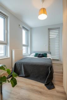 Vip Apartamenty Hetmańska - Rzeszów - 5