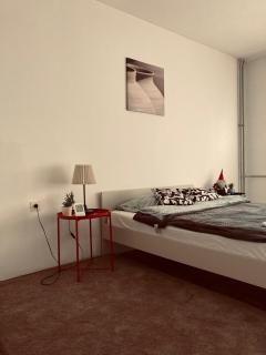 STUDIO APP STELLA Jarun Zagreb SELF-CHECK-IN - Zagreb - 6