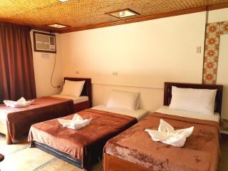 Forest wood-Port Barton - San Vicente - 8