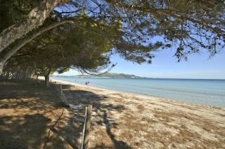 Playa de los pinos Apartment - Port d'Alcudia - 7