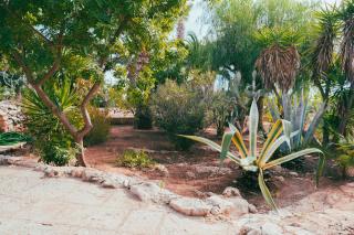 Tenuta Diavoli 2 a due passi da Torre San Giovanni - Capilungo - 2