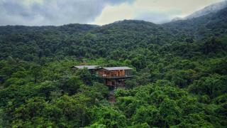 The Arboreal Resort - 6