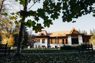 Villa Bellini Borszék - Borsec - 6