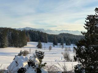 Alpentraum: Luxuswohnung mit atemberaubendem Blick - Buchenberg - 1