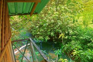 Arcadea Eco Lodge - Kuruwita - 7