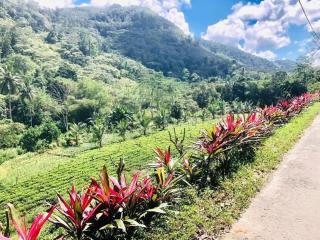Arcadea Eco Lodge - Kuruwita - 1