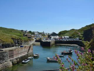 1 Bed in Porthgain 61170 - Porthgain - 4