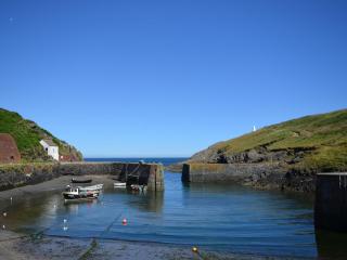 1 Bed in Porthgain 61170 - Porthgain - 3