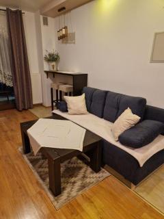 Apartamenty-Plaza Zakopane - Zakopane - 2