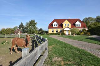 Ferienhof am Leuchtturm für Gruppen bis 25 Personen OFC 04 - Kägsdorf - 8