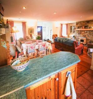 Orchard Cottage - Dingle - 6