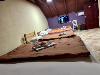 Hotel Atika - Skopje - 8