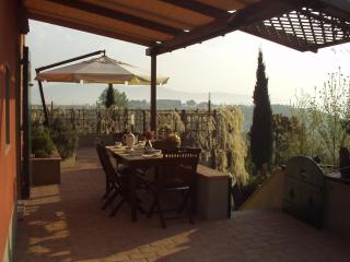 Il Cigliere your holiday home in the heart of Tuscany - Florence - 1