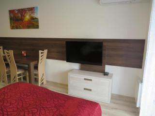 Apartmán Bohemia - 9