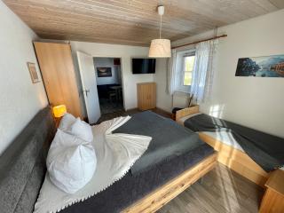 Arber Alm - Bayerisch Eisenstein - 1