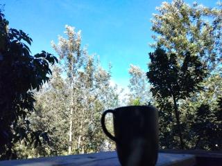 The O'clock Farmstay Khaokor - Khao Kho - 8