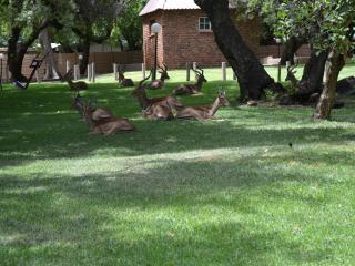 Mount Amanzi - Hartbeespoort - 7