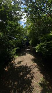 Forest Villa Nature Resort - 3