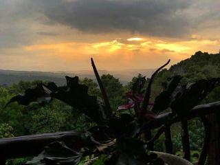 Munduk Sena - Munduk - 6