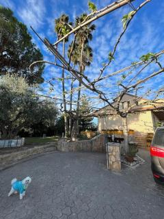 Casa Parra - Deltebre - 7
