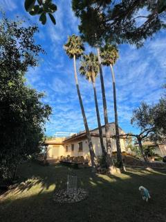 Casa Parra - Deltebre - 8