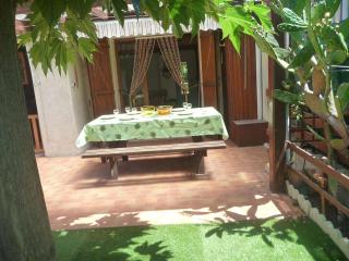 Villa calme, climatisée, avec grande terrasse et jardin, proche commodités - FR-1-387-87 - Marseillan - 0