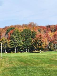 Angel Mist Retreat Entire Place - 3