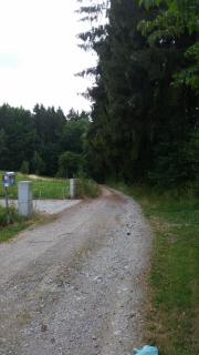 Waldgasthof - Hotel Schiederhof - Wiesenfelden - 8