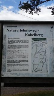 Waldgasthof - Hotel Schiederhof - Wiesenfelden - 1