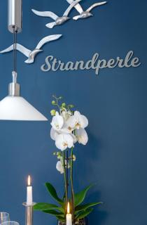 Carmen Sylva Strandperle 24 - Westerland - 7