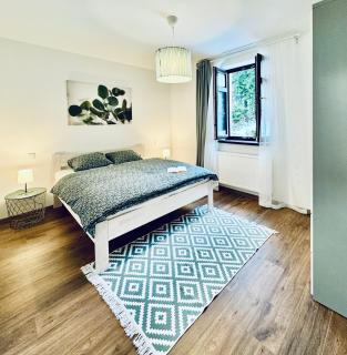 Stará Škola Mariánská - 7