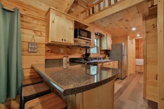River Cabin Hot Tub & Swim Spa Near Downtown - Chattanooga - 3