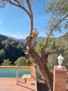 Susurros de Montaña - 1