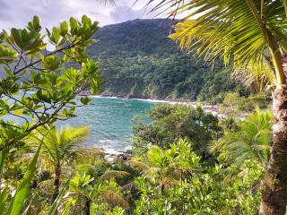 QUINTAL DA MATA - 1