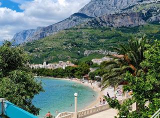 Vila Maslina Apartments mit Pool und Garten nahe am Strand - 9