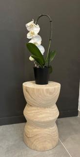 The Savonarola Apartment - 3