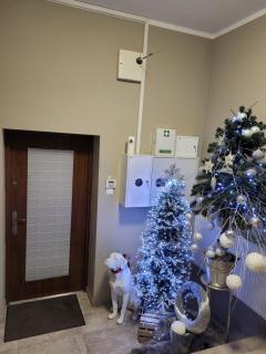 Pokoje na Warszawskiej - 7