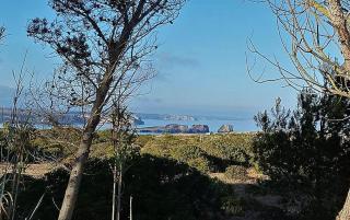 Cosy Apartment in Sagres, 42 sqm with Garden View - Sagres - 2
